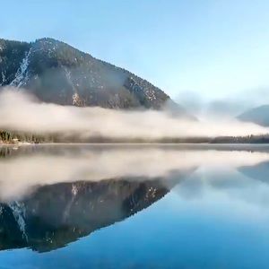 Meet your Posher, Leslie